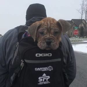 Meet your Posher, Sonja